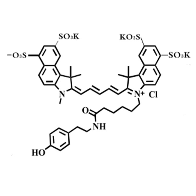 Sulfo-Cyanine5.5 Tyramide，Sulfo-Cy5.5 Tyramide